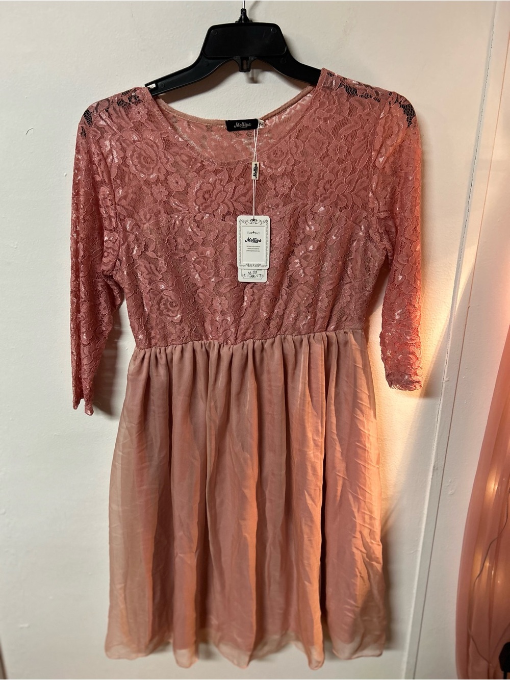 Molliya Dusty Rose Lace Chiffon Dress Size L NWT